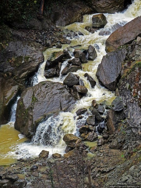 Альбом отзыва "Как, скажи, тебя зовут? И она ответила: как хочешь. Река"