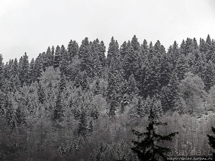 Альбом отзыва "Как, скажи, тебя зовут? И она ответила: как хочешь. Река"