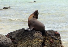 Галапагосские острова — №1 в списке Всемирного наследия
