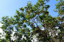 Галапагосские острова — №1 в списке Всемирного наследия