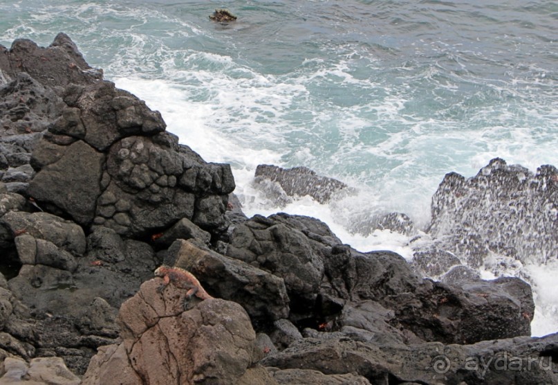 Галапагосские острова — №1 в списке Всемирного наследия