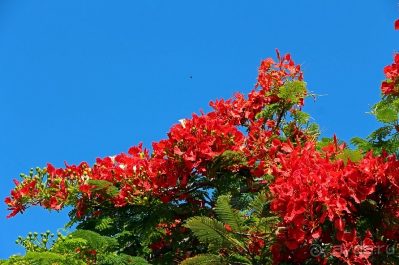 Галапагосские острова — №1 в списке Всемирного наследия
