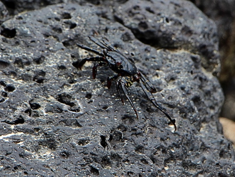 Галапагосские острова — №1 в списке Всемирного наследия