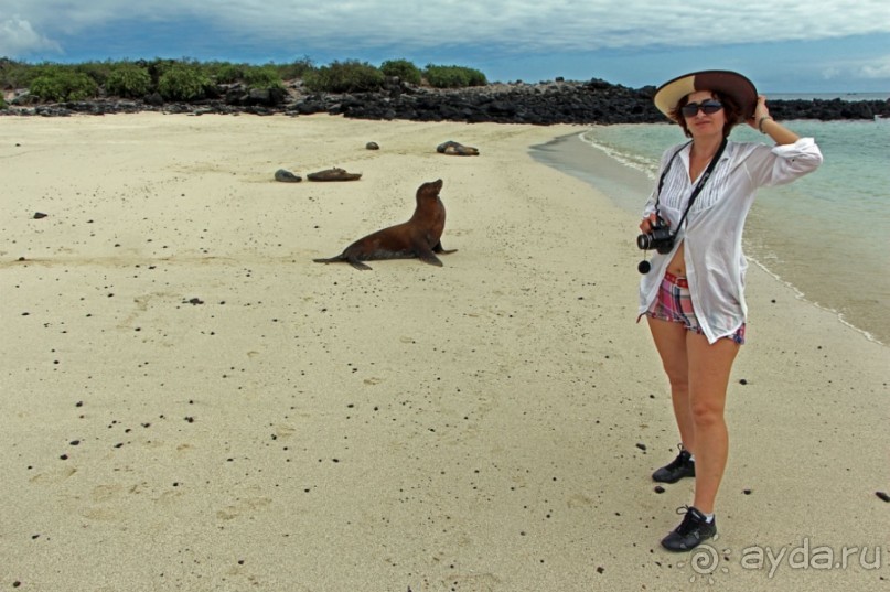 Галапагосские острова — №1 в списке Всемирного наследия