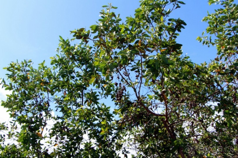 Галапагосские острова — №1 в списке Всемирного наследия