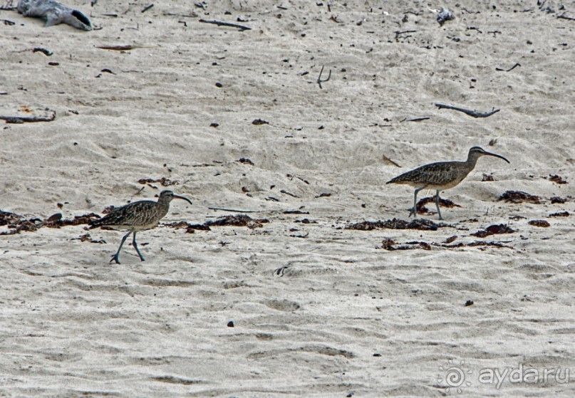Галапагосские острова — №1 в списке Всемирного наследия