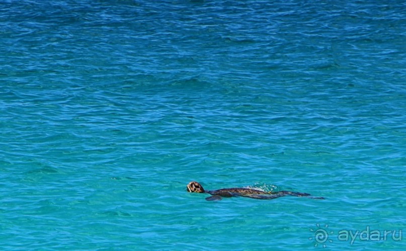 Галапагосские острова — №1 в списке Всемирного наследия
