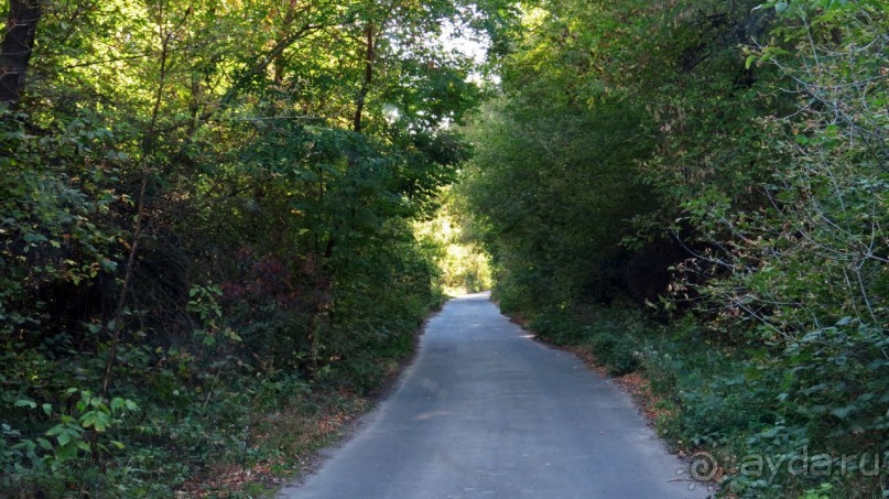 Трахтемиров — место силы, легендарная казацкая столица