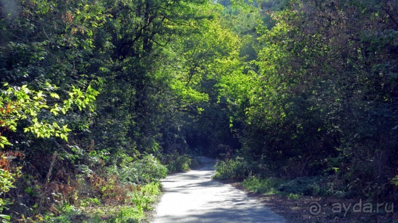 Трахтемиров — место силы, легендарная казацкая столица