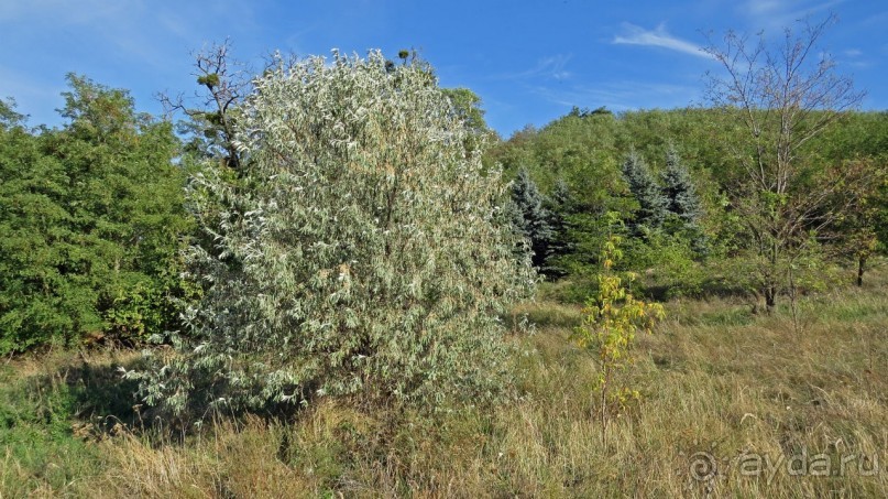 Трахтемиров — место силы, легендарная казацкая столица