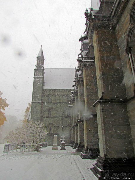 Норвегия непредсказуемая. Октябрьские метели в Тронхейме