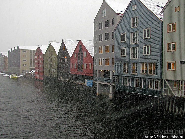Норвегия непредсказуемая. Октябрьские метели в Тронхейме