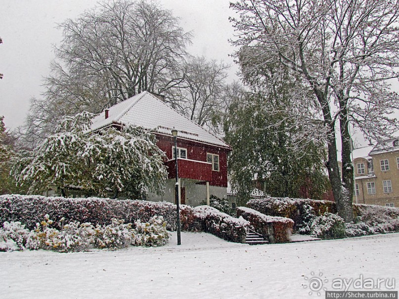 Норвегия непредсказуемая. Октябрьские метели в Тронхейме