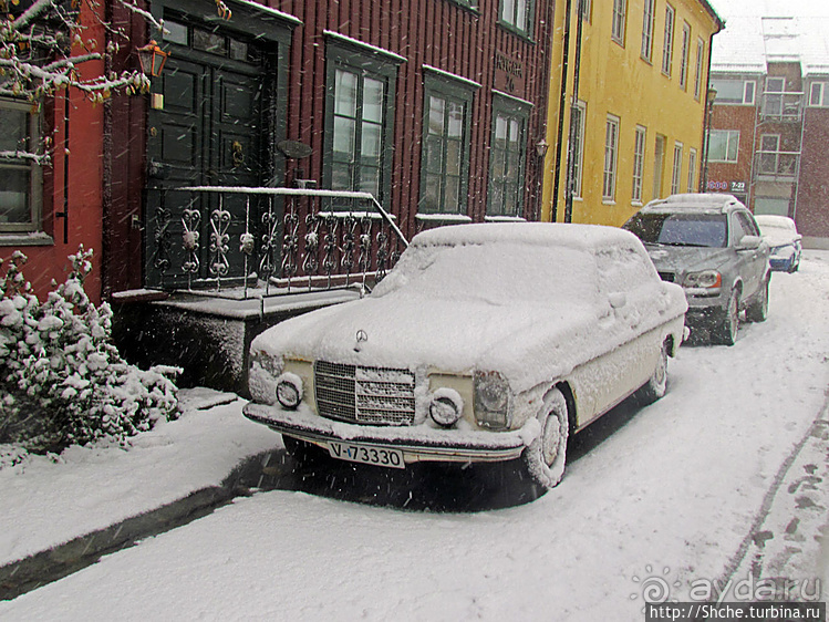 Норвегия непредсказуемая. Октябрьские метели в Тронхейме