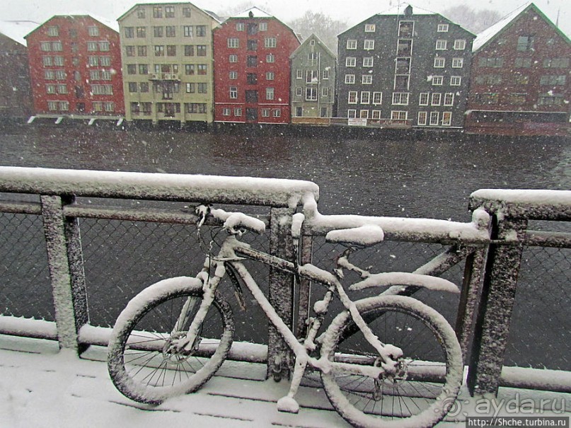 Норвегия непредсказуемая. Октябрьские метели в Тронхейме