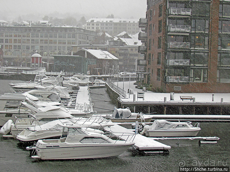 Норвегия непредсказуемая. Октябрьские метели в Тронхейме
