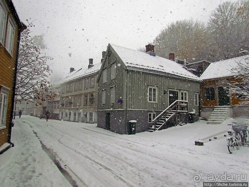 Норвегия непредсказуемая. Октябрьские метели в Тронхейме