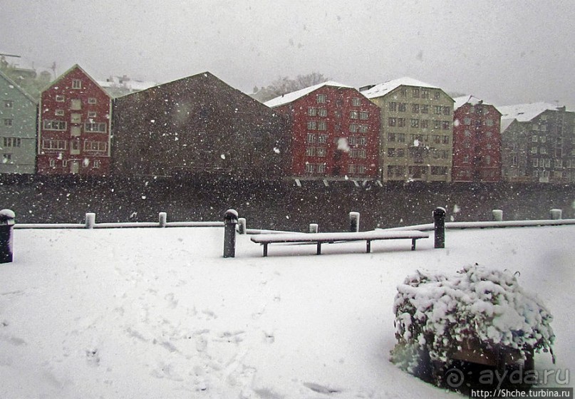 Норвегия непредсказуемая. Октябрьские метели в Тронхейме