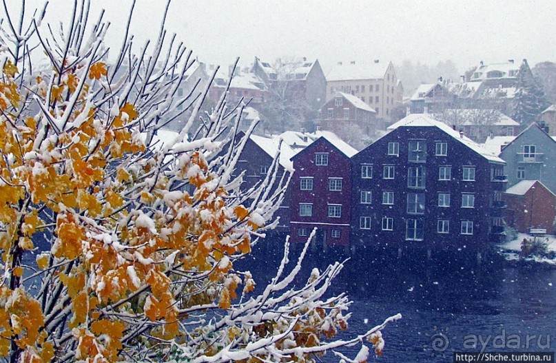Норвегия непредсказуемая. Октябрьские метели в Тронхейме