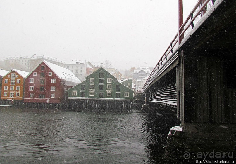 Норвегия непредсказуемая. Октябрьские метели в Тронхейме