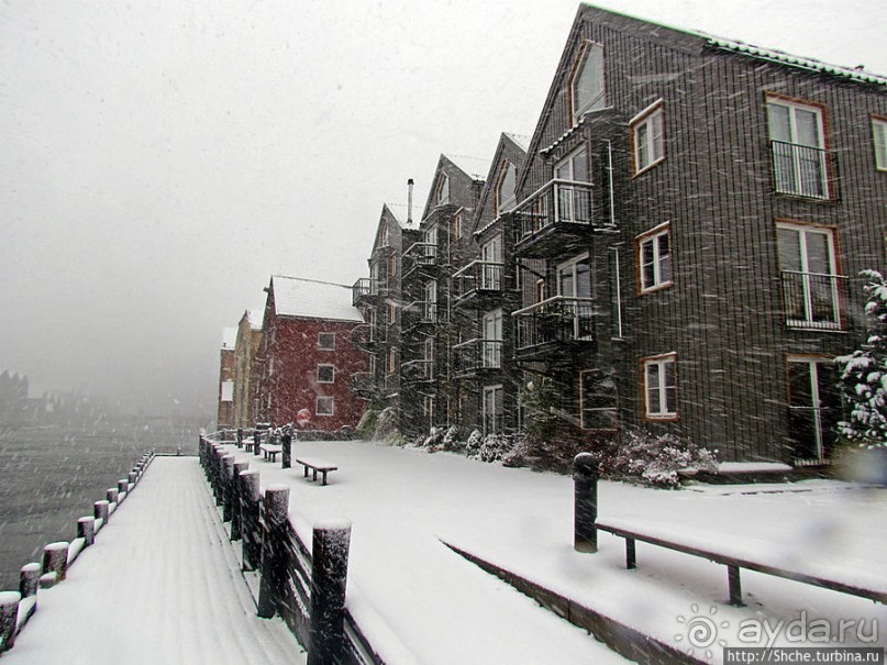 Норвегия непредсказуемая. Октябрьские метели в Тронхейме