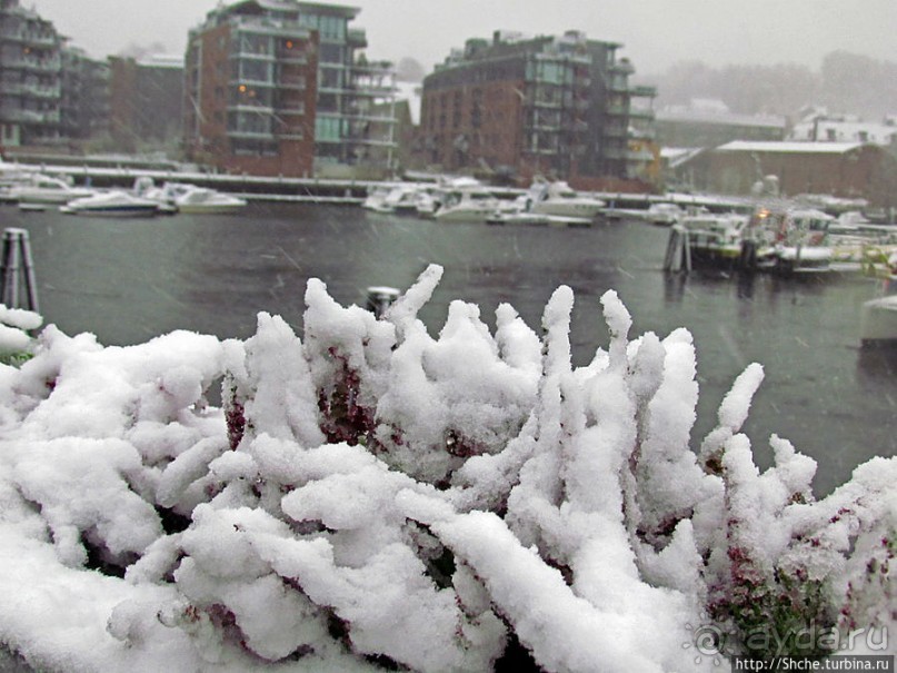 Норвегия непредсказуемая. Октябрьские метели в Тронхейме