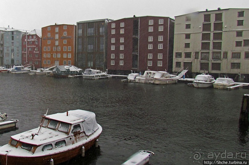 Норвегия непредсказуемая. Октябрьские метели в Тронхейме