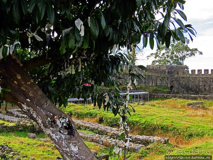 Гонио. И крепость, и музей, и могила апостола св. Матфия