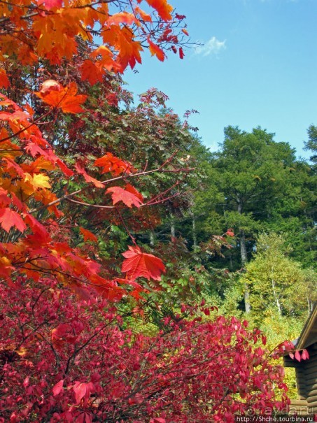В горы в поисках красных момидзи