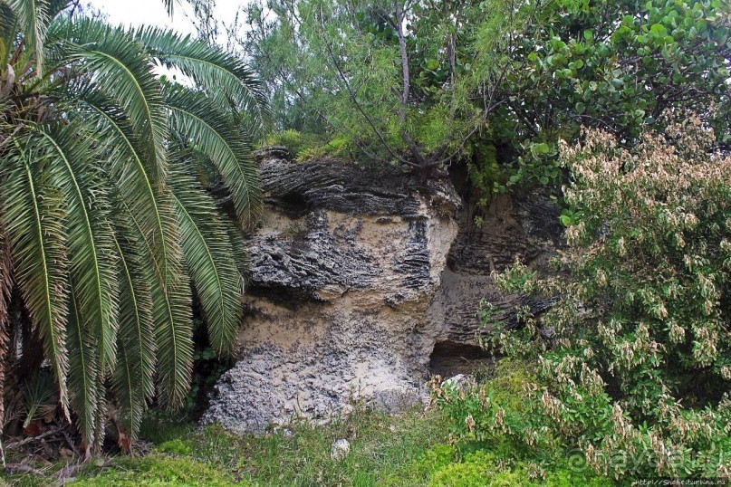 Северный берег Бермуд — прогулка по бывшей железной дороге