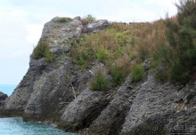 Северный берег Бермуд — прогулка по бывшей железной дороге