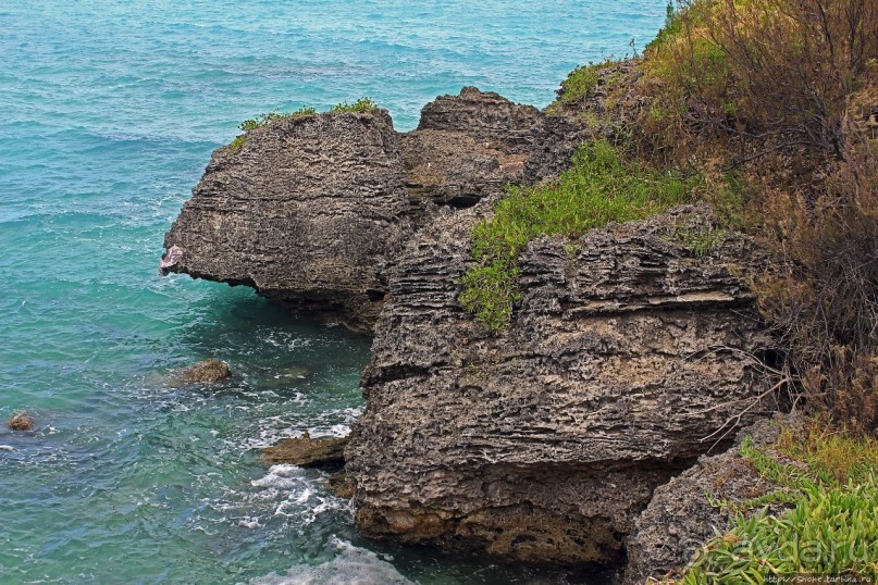 Северный берег Бермуд — прогулка по бывшей железной дороге