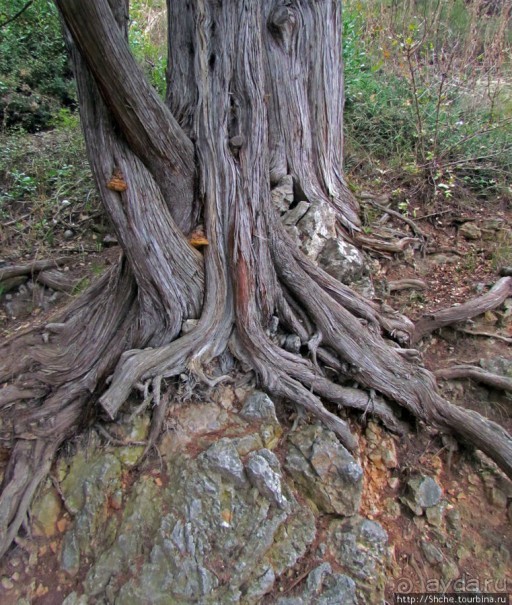 Прогулка по "Солнечной (царской) тропе"