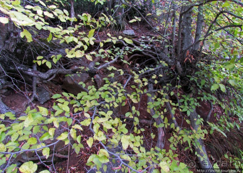 Прогулка по "Солнечной (царской) тропе"