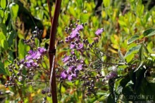 500-метровый, но такой малоизвестный водопад в Эфиопии