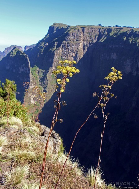 500-метровый, но такой малоизвестный водопад в Эфиопии
