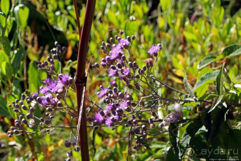 500-метровый, но такой малоизвестный водопад в Эфиопии