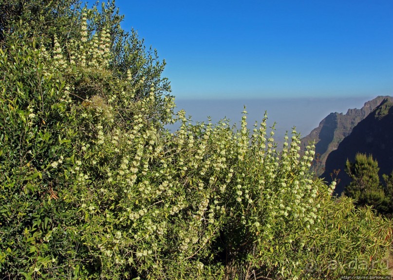 500-метровый, но такой малоизвестный водопад в Эфиопии