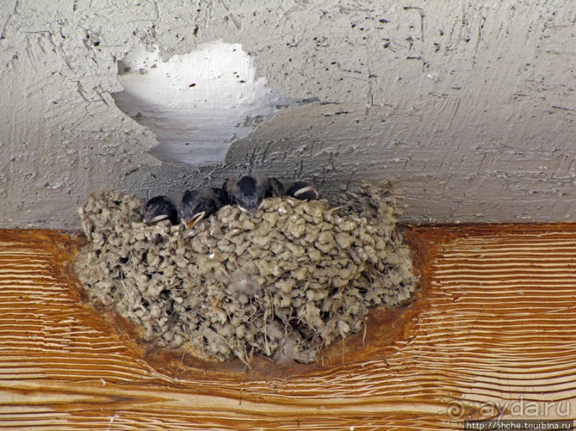 Кносский Дворец — прогулка по пыли веков. Скорее да, чем нет