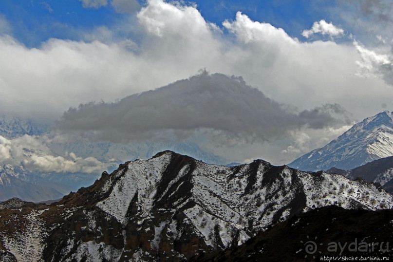 Мустанг. Обратная перемотка. День второй — чистое созерцание
