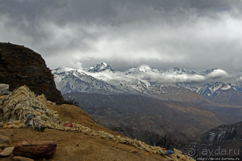 Мустанг. Обратная перемотка. День второй — чистое созерцание