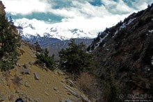 Мустанг. Обратная перемотка. День второй — чистое созерцание