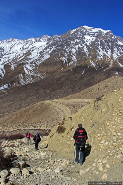 Мустанг. Обратная перемотка. День второй — чистое созерцание