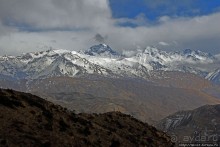 Мустанг. Обратная перемотка. День второй — чистое созерцание