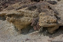 Мустанг. Обратная перемотка. День второй — чистое созерцание