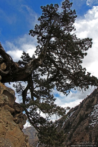 Мустанг. Обратная перемотка. День второй — чистое созерцание