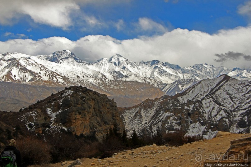 Мустанг. Обратная перемотка. День второй — чистое созерцание