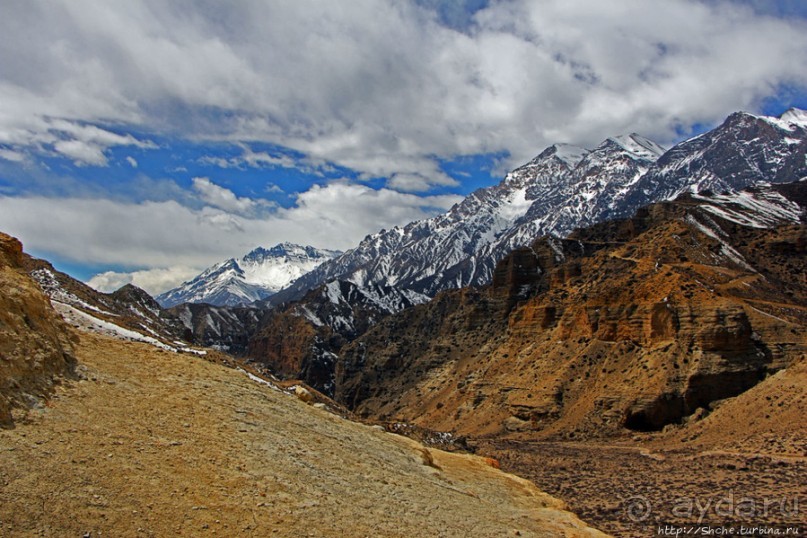 Мустанг. Обратная перемотка. День второй — чистое созерцание