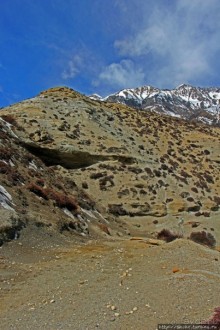 Мустанг. Обратная перемотка. День второй — чистое созерцание