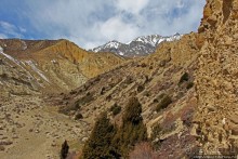 Мустанг. Обратная перемотка. День второй — чистое созерцание